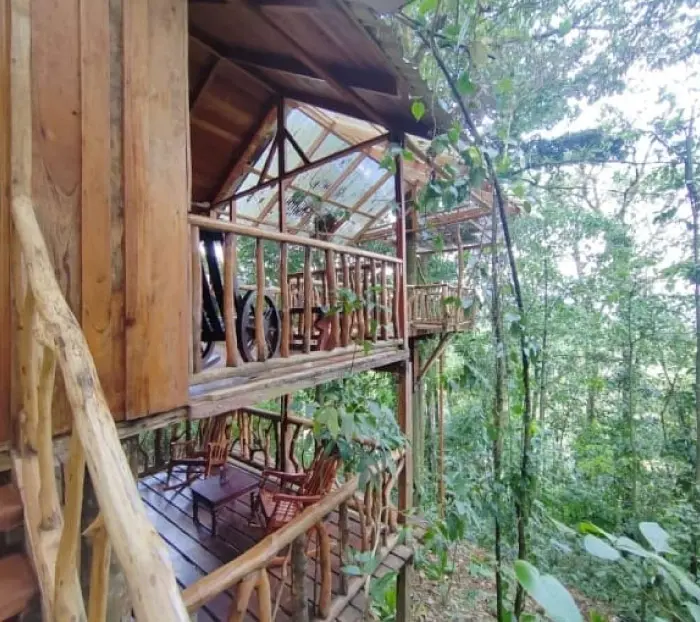 Cabaña del arbol
