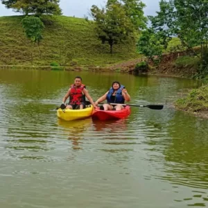 Kayaks